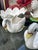 Ceramic Collection of Vintage White Ceramic Swan Bowls and Figurines- Set of 9 For Sale - Image 7 of 12