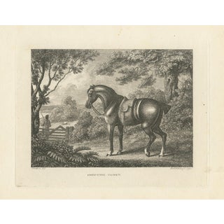 Samuel Howitt, Shooting Pony, 1799, Engraving For Sale
