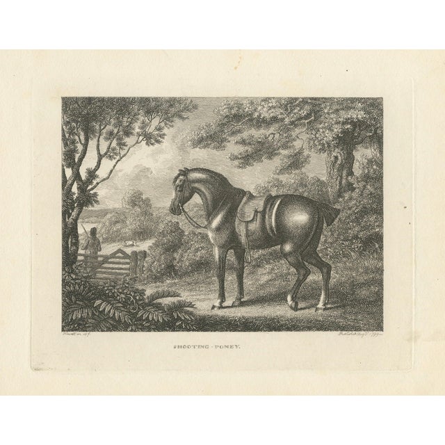 Samuel Howitt, Shooting Pony, 1799, Engraving For Sale
