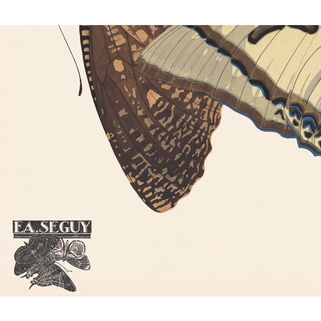 Papillons (Butterflies) Plate 12 Giclee Reproducion Art Print by Emile Allian Séguy For Sale - Image 4 of 4