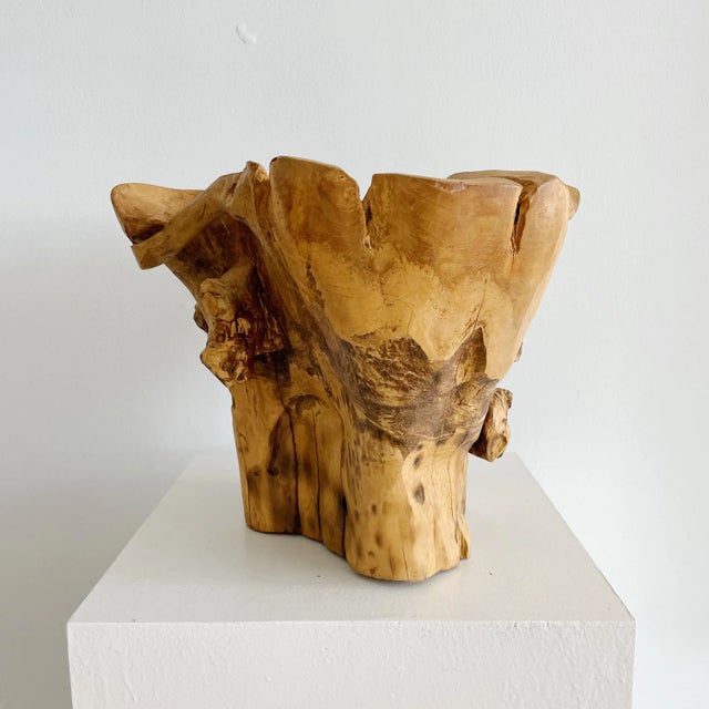 Sculptural Organic Wood Centerpiece Bowl For Sale In West Palm - Image 6 of 10