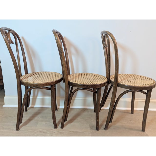 Thonet 1960s Sweetheart Bentwood & Cane Chairs by ZPM Radomsko for Thonet For Sale - Image 4 of 14