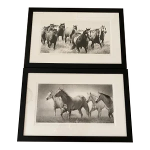 2000s Signed Limited Edition Pair of Horse Prints
