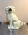 Staffordshire Antique Extra-Large Staffordshire Dog For Sale - Image 4 of 7