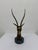 1960s Brass Gazelle Sculpture on Variegated Green Marble Base, 1970s For Sale - Image 5 of 18