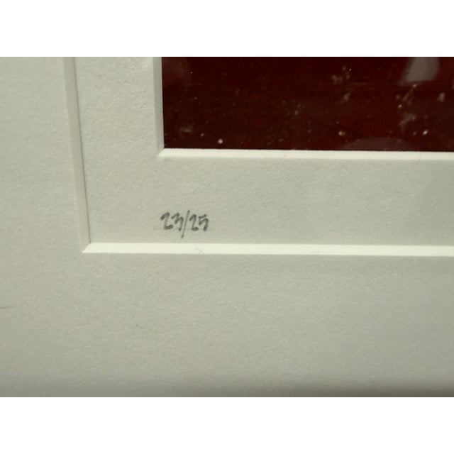 Jeffrey Becom Maya Color Red Architecture Ltd. Ed. Photograph, Signed For Sale - Image 9 of 12