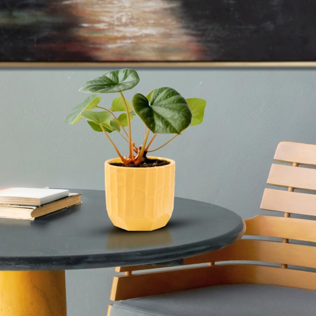 A stunning piece from our collection featuring a honeycomb-designed texture. With its rich golden yellow color, this vase...