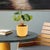 A stunning piece from our collection featuring a honeycomb-designed texture. With its rich golden yellow color, this vase...
