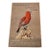 Birds of Midway Island and Laysan Islands Denver Museum Pictorial Book Alfred Bailey 1956 For Sale