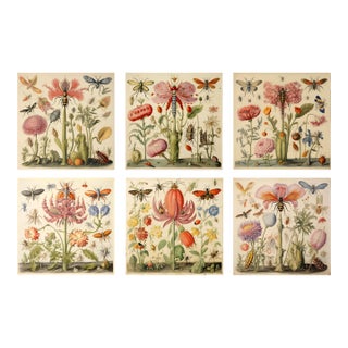 Set of 6 - 54" X 36" Gallery Wall Installation 'Insects and Flowers' Botanical Floral Prints, Unframed For Sale