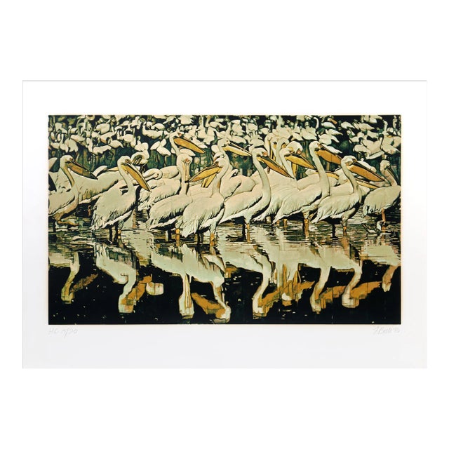 Pelicans, Fran Bull Screenprint, Signed and Numbered in Pencil For Sale