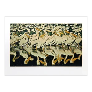 Pelicans, Fran Bull Screenprint, Signed and Numbered in Pencil