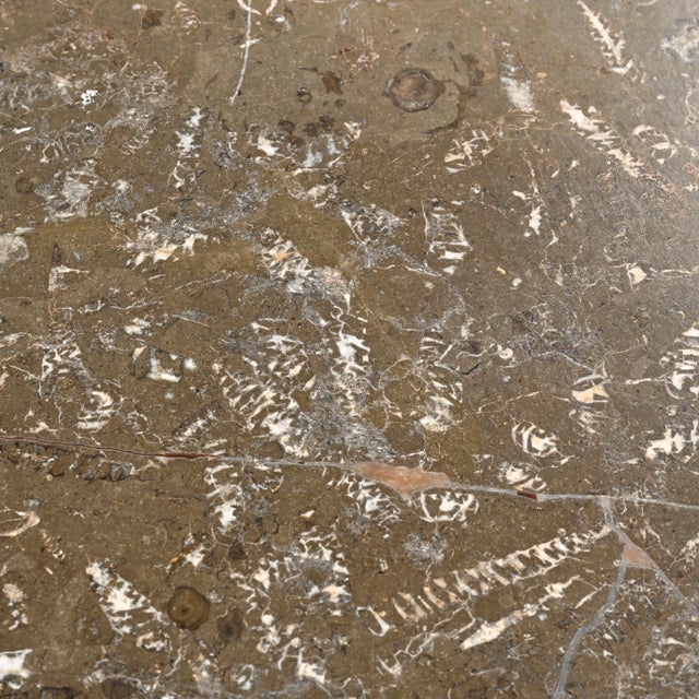 Fossile Nesting Tables, Switzerland, 1970, Set of 3 For Sale - Image 13 of 17