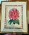 Red Antique Botanical Prints by Sir Joseph Paxton From the Magazine of Botany For Sale - Image 8 of 17
