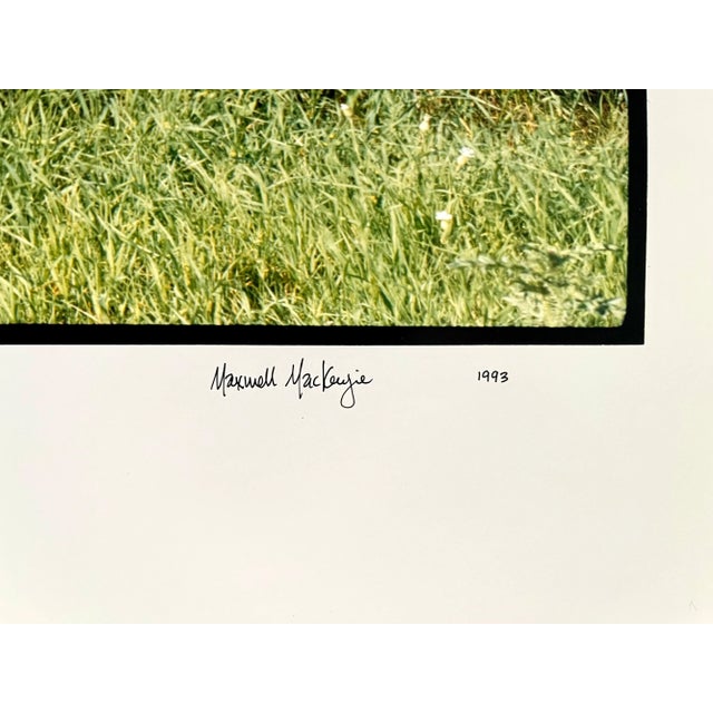 Realism Maxwell Mackenzie, Farm Summer Landscape, Large Panoramic Vintage Color Photograph Signed Photo, 1993 For Sale - Image 3 of 9