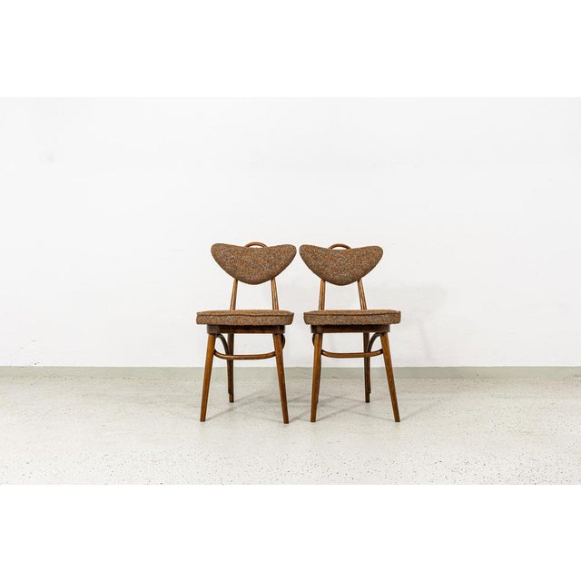 Brown Model No. 124 Chairs attributed to Helena & Jerzy Kurmanowicz, Poland, 1960s, Set of 6 For Sale - Image 8 of 18