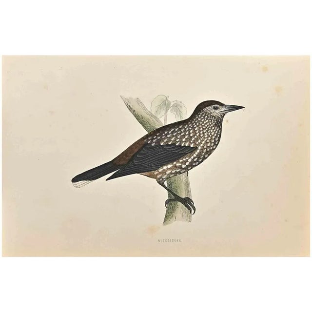 Nutcracker is a modern artwork realized in 1870 by the British artist Alexander Francis Lydon (1836-1917). Woodcut print...