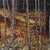 Autumn Fully Present by Deb Komitor | Oil Painting of trees and autumn foliage For Sale