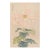 Pink Spider Chrysanthemum by Hasegawa Japanese Botanical Art Print, 12" X 18" For Sale