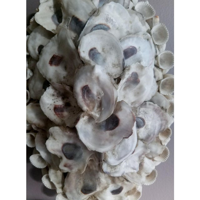 Nautical Beachy Shell Encrusted Candle Wall Sconce Chairish