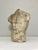 Classical solid cast concrete male nude torso bust, circa 1880-1900. Inspired by Greek works of the Hellenistic period...