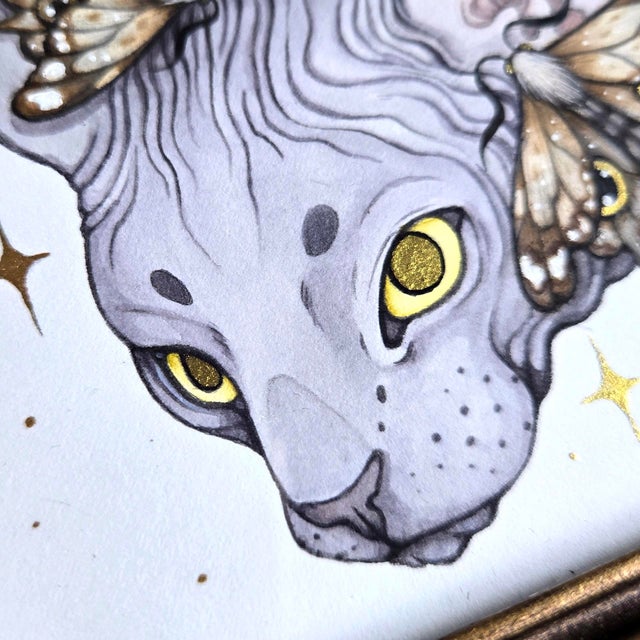 Early 21st Century Sphynx Moths by Nana Williams | Watercolor of a Sphynx cat with moths around its head For Sale - Image 5 of 5