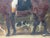 Large 19th Century Oil Painting the Clandon Harriers Hunt John Imms of Ringmer Up Libertine Mare Hor For Sale - Image 6 of 12