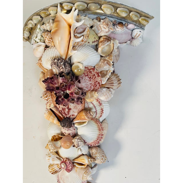 Fabulous richly encrusted with Florida sea shells and barnacles, pair of wall brackets in Tony Douquet style.