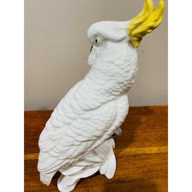 Staffordshire English Staffordshire Ceramic Cockatoo Signed by T.J.Jones For Sale - Image 4 of 8