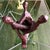 Striking vintage hand-carved wood sculpture featuring three stylized human figures intertwined in an intricate, almost...