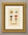 This is an original antique wood engraving, colored by hand, showing insignia of the kingdom of the two sicilies. At the...