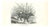 Paul Gervais, Tapir Pinchaque, 1854, Lithograph For Sale