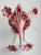 Mid-Century Modern Pink Murano Glass Lily Wall Light by Franco Luce for Seguso, 1970s For Sale - Image 11 of 11