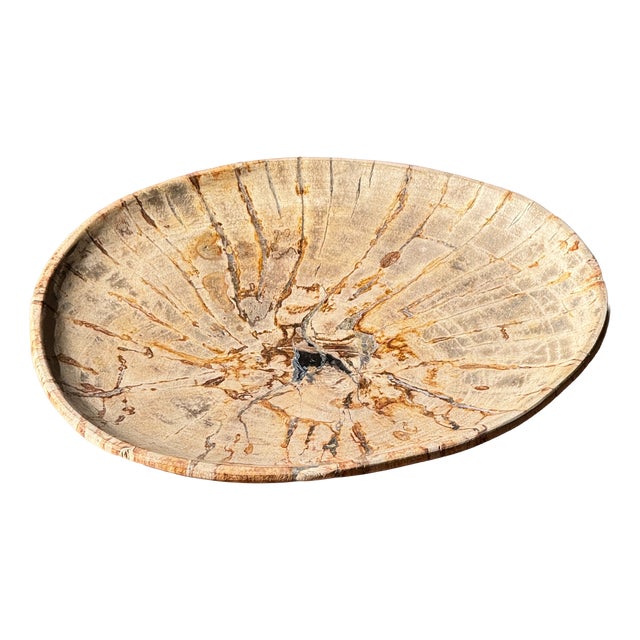 Small Trinket Tray or Dish in Beige Petrified Wood with Small Black Heart-Shaped Circles D21-25 -3314 For Sale