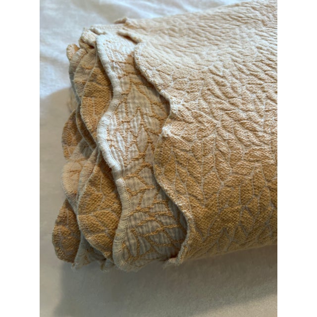 Portuguese Colchas Domingos Heavyweight Cotton Matelassé Oversized Queen Coverlet | Soft Buttercream For Sale - Image 12 of 13