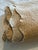 Portuguese Colchas Domingos Heavyweight Cotton Matelassé Oversized Queen Coverlet | Soft Buttercream For Sale - Image 12 of 13