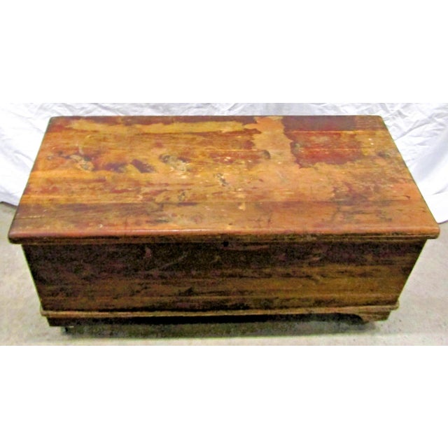 American 19th Century Early American Style Cedar Constructed Trunk Blanket Chest Castors For Sale - Image 3 of 16