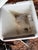 7 Vintage 1920s Sinks Varied Styles For Sale - Image 15 of 18
