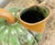 This charming and organic ceramic pitcher originates from France in the 1920s. The pitcher features a beautiful green body...