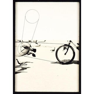 Pino Settanni, Birds, 1970s, Photography, Framed For Sale