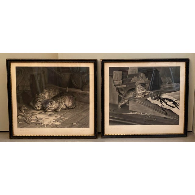 19th Century Original Cat Engravings by Joseph Pratt, Framed - a Pair For Sale - Image 13 of 13
