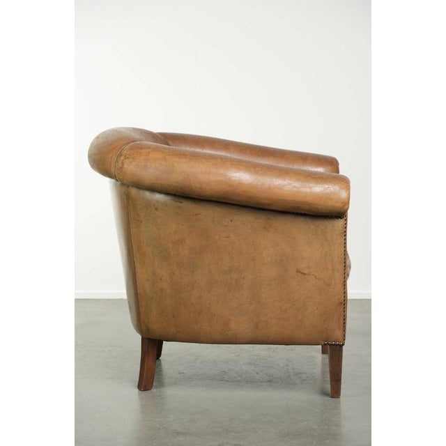 Vintage Sheepskin Club Armchair in Light Cognac For Sale - Image 3 of 13