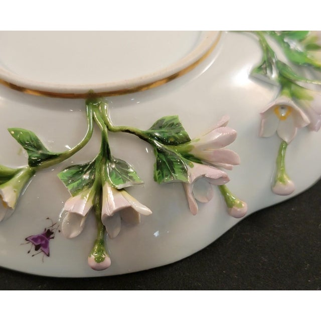 White Mid-19th Century Meissen Porcelain Tea Cup and Saucer: Encrusted Flowers, Hand Painted Insects For Sale - Image 8 of 10