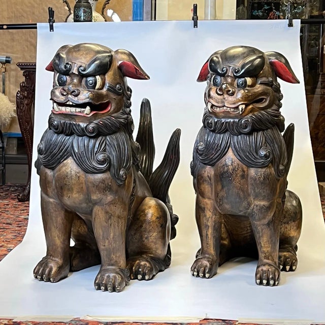 Wood Very Large Chinese or Japanese Carved Wooden Fu Lions - A Pair For Sale - Image 7 of 12