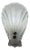Glass Shell Wall Lamp from Sölken Leuchten For Sale