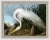 Audubon Birds are from the classic series “Birds of America” - one of the finest ornithological books of our time. Printed...