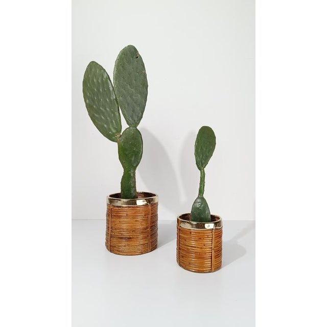 Wood Italian Cachepot Basket in Hand-Woven Pencil Reed Rattan and Brass, 1970s For Sale - Image 7 of 18