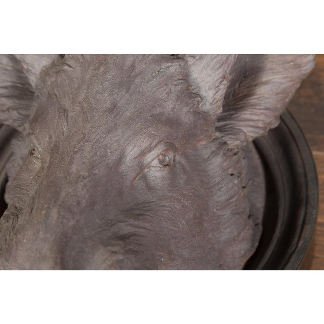 English 1880s Terracotta Hog Head Mounted on New Custom Circular Iron Frame For Sale - Image 10 of 12
