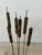 Torch-Cut Brutalist Iron Cattail Table or Floor Sculpture, 1960s For Sale - Image 12 of 13