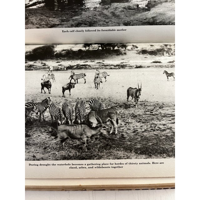 1940s I Married Adventure Osa Johnson Signed Book For Sale - Image 10 of 12